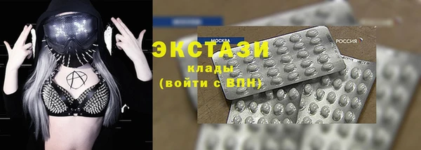 стаф Алзамай