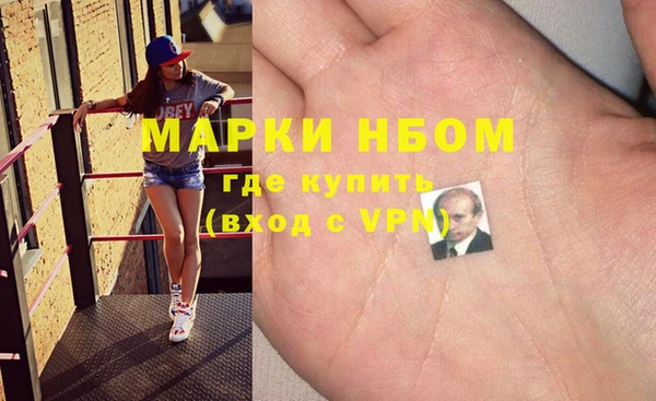 стаф Алзамай