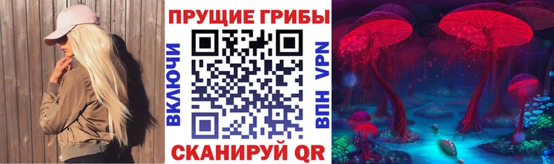 магазин  наркотиков  Лагань  Галлюциногенные грибы MAGIC MUSHROOMS 